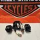 96-06 Harley Davidson Sportster 1200/883 Control Switches Hand Controls