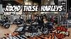 Best Harley For Your 1st Harley U0026 Ones To Stay Away From