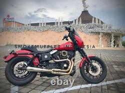 Custom Handmade Exhaust Muffler Fit Harley Davidson Dyna 2-1(Middle Control)