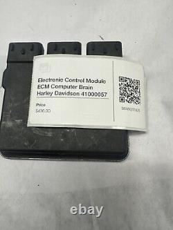 Electronic Control Module ECM Computer Brain Harley Davidson 41000057