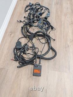 Harley-Davidson Electro-Motor Cruise Control Assembly, 70955-04 & Wiring Harness