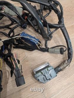 Harley-Davidson Electro-Motor Cruise Control Assembly, 70955-04 & Wiring Harness