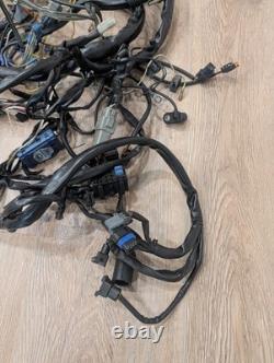 Harley-Davidson Electro-Motor Cruise Control Assembly, 70955-04 & Wiring Harness