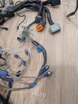 Harley-Davidson Electro-Motor Cruise Control Assembly, 70955-04 & Wiring Harness