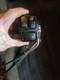 Harley Oem Right Control Switch No Cruise Control Nice