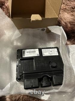 OEM Harley Davidson Module Body Control Unit 2G1.3 Axis 434 434 MHZ PN 41000674A